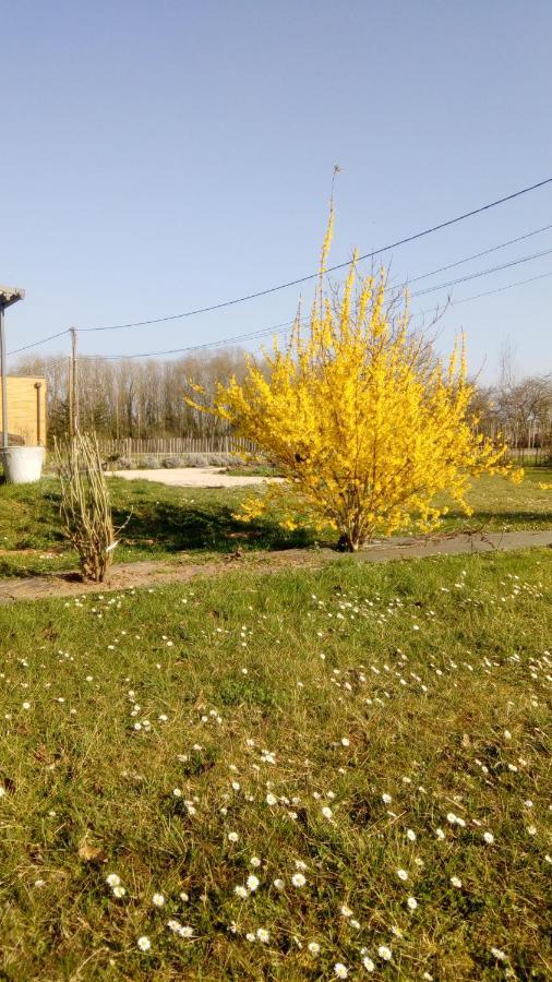 La Halte Villa Villeret Екстериор снимка